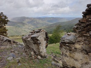 IMG_20190925_152517.jpg