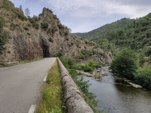 IMG_20190925_170727.jpg