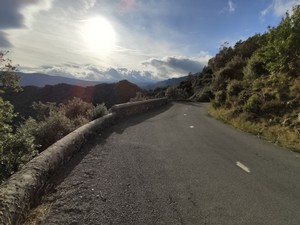 IMG_20190925_174254.jpg