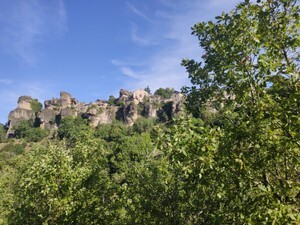 IMG_20210913_103149.jpg