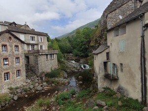 IMG_20210915_114613.jpg